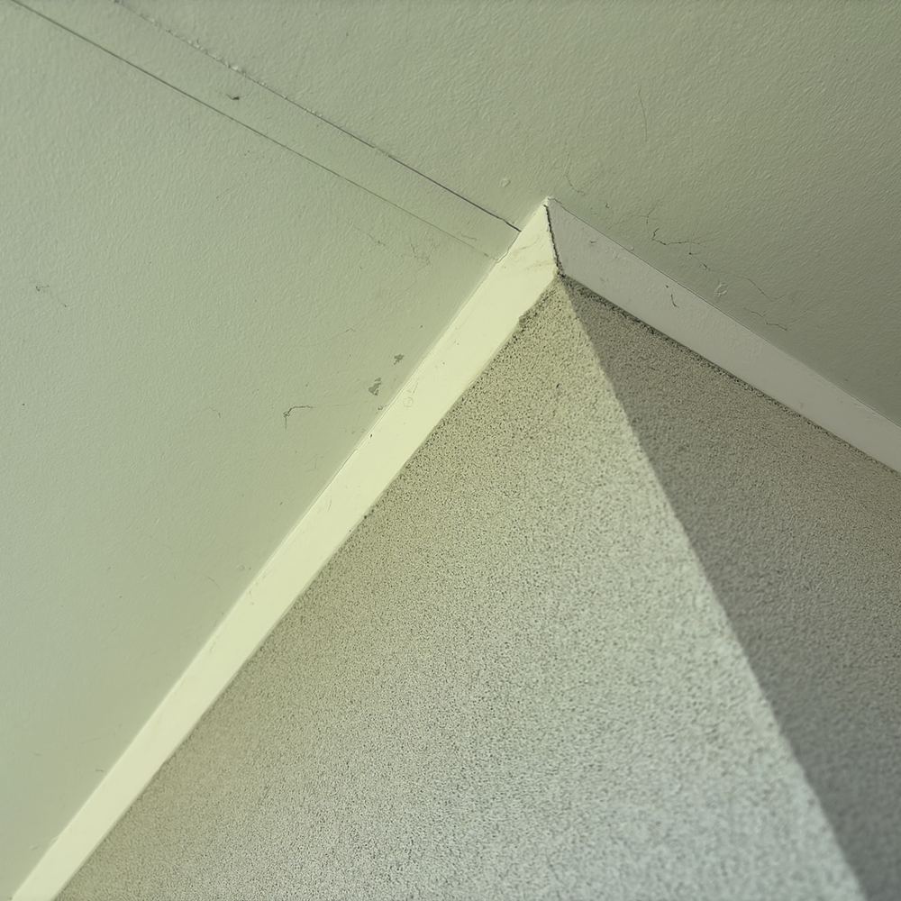 Minor cracking where wall and ceiling meet, recorded so it can be monitored, found during a building and pest inspection in Kalkallo